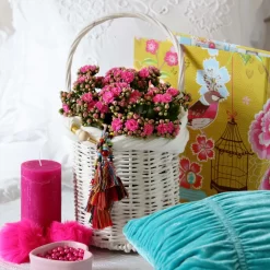 Kalanchoe 'Calandiva'®, Violett, Topf-Ø 12 Cm, Höhe Ca. 27,5 Cm, 6er-Set -Gartenserien Geschäft 0210350159 Kalanchoe cal violett2