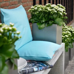 Kalanchoe 'Calandiva'®, Weiß, Topf-Ø 12 Cm, Höhe Ca. 27,5 Cm, 6er-Set -Gartenserien Geschäft 0210350168 Kalanchoe Cal weiss2