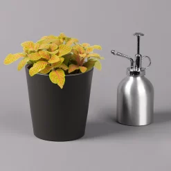 Fittonia 'Skeleton' Inkl. Keramiktopf Dallas Anthrazit, Topf-Ø 12 Cm -Gartenserien Geschäft 0220108275 Fittonia Skeleton Topf Dallas anthrazit 3