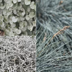 Mixtopf 'Silberstruktur', 3er-Set, Grau-silber, Topf 13 Cm Ø -Gartenserien Geschäft 0610180261 0610180262 Mixtopf Mixschale Silberstruktur 95076