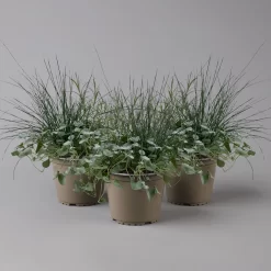 Mixtopf 'Silberstruktur', 3er-Set, Grau-silber, Topf 13 Cm Ø