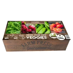 Anzuchtkiste Farm Fresh, Zimmer-Gewächshaus, Starter-Kit Gemüse
