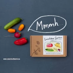 Mini-Gemüse' Saatgut: Balkonpaprika, Snackgurken, Obsttomaten, Radieschen -Gartenserien Geschäft 0710102936 Lunchbox Garten mit Minigemuese 2 87439