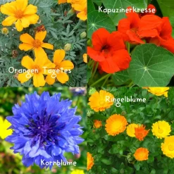 Blumensamen-Set Gourmet Blumen, Essbar, Bienenfreundlich, Dekorativ 9 Blumensamen-Set Gourmet Blumen, Essbar, Bienenfreundlich, Dekorativ -Gartenserien Geschäft 0710403583 Blumensamen Set Gourmet Blumen 4essbare Sorten mit organ Duenger 5 60480