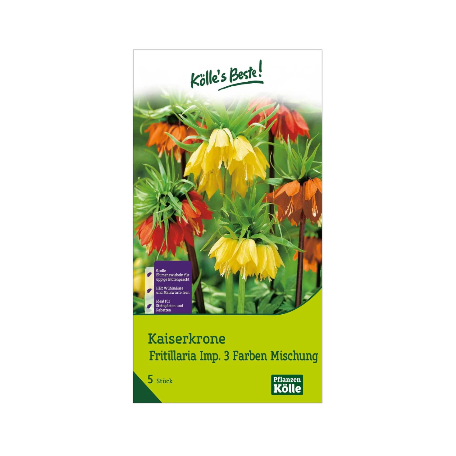 Kaiserkrone (Fritillaria) 3-Farben Mischung, 5 Blumenzwiebeln 1 Kaiserkrone (Fritillaria) 3-Farben Mischung, 5 Blumenzwiebeln