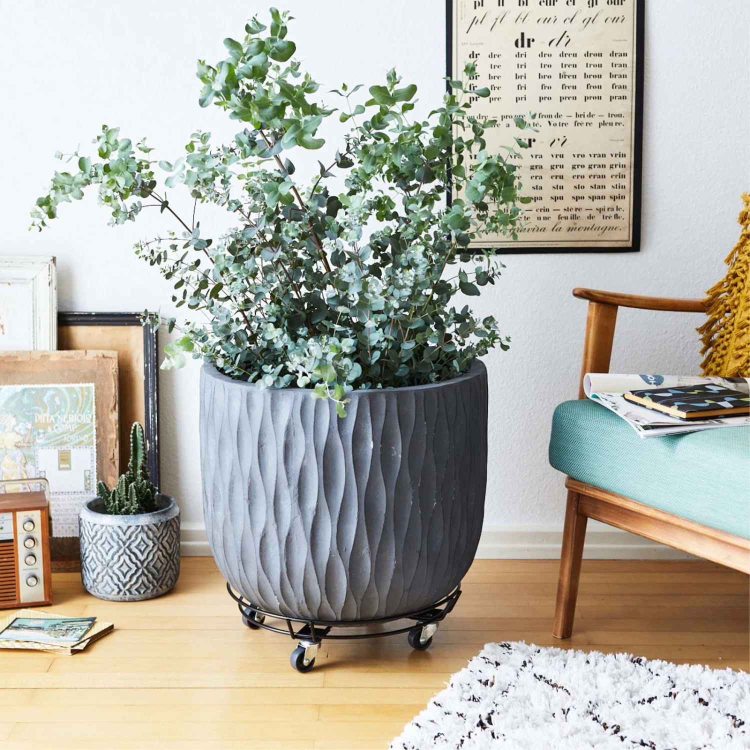 Multi Roller GH 0934, Tragkraft 100 Kg, Schwarz, Ca. 10 X 38 X 38 Cm 2 Multi Roller GH 0934, Tragkraft 100 Kg, Schwarz, Ca. 10 X 38 X 38 Cm – Bild 2