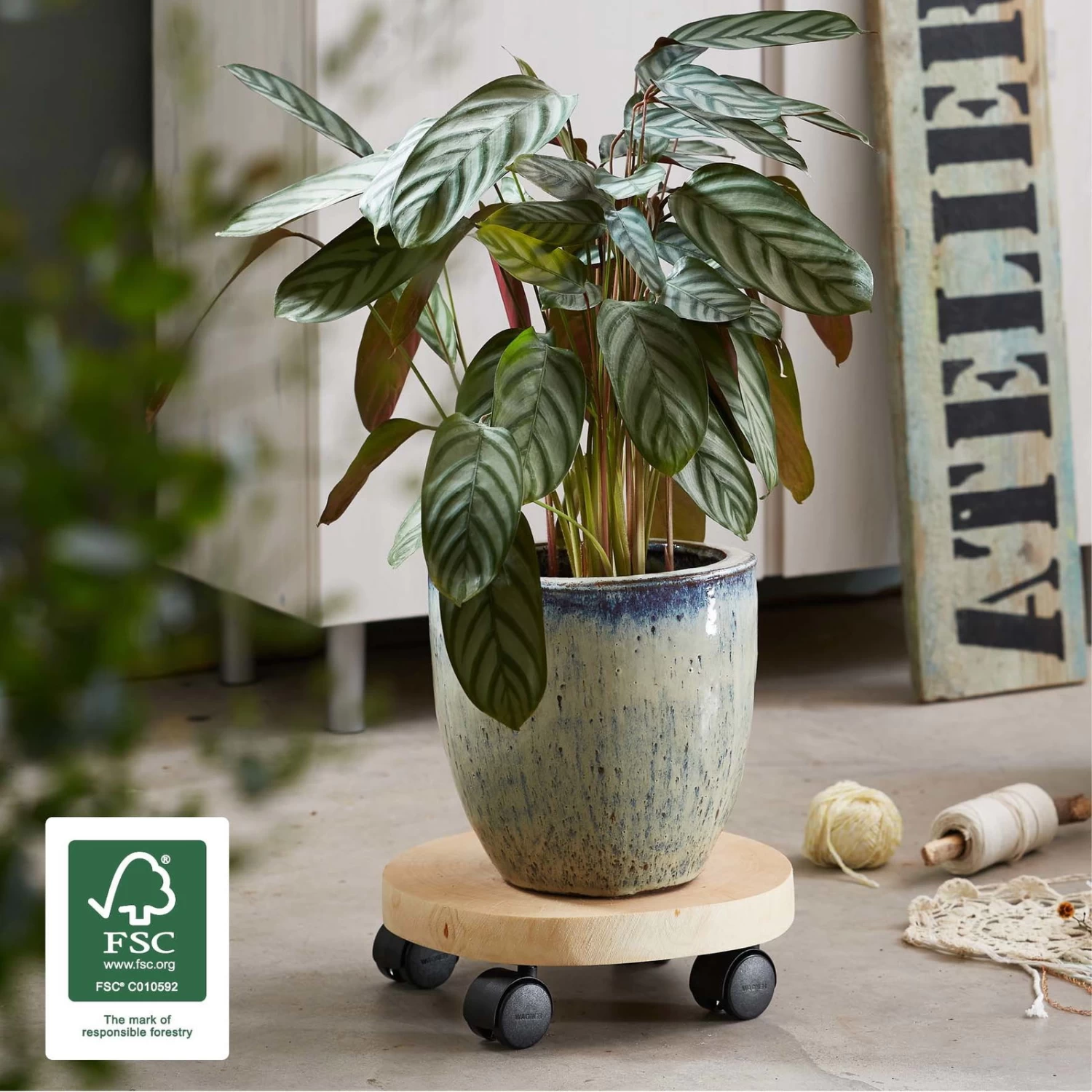 Multi Roller GH0268, Tragkraft 50 Kg, Natur, Ø 25-30 Cm 2 Multi Roller GH0268, Tragkraft 50 Kg, Natur, Ø 25-30 Cm – Bild 2