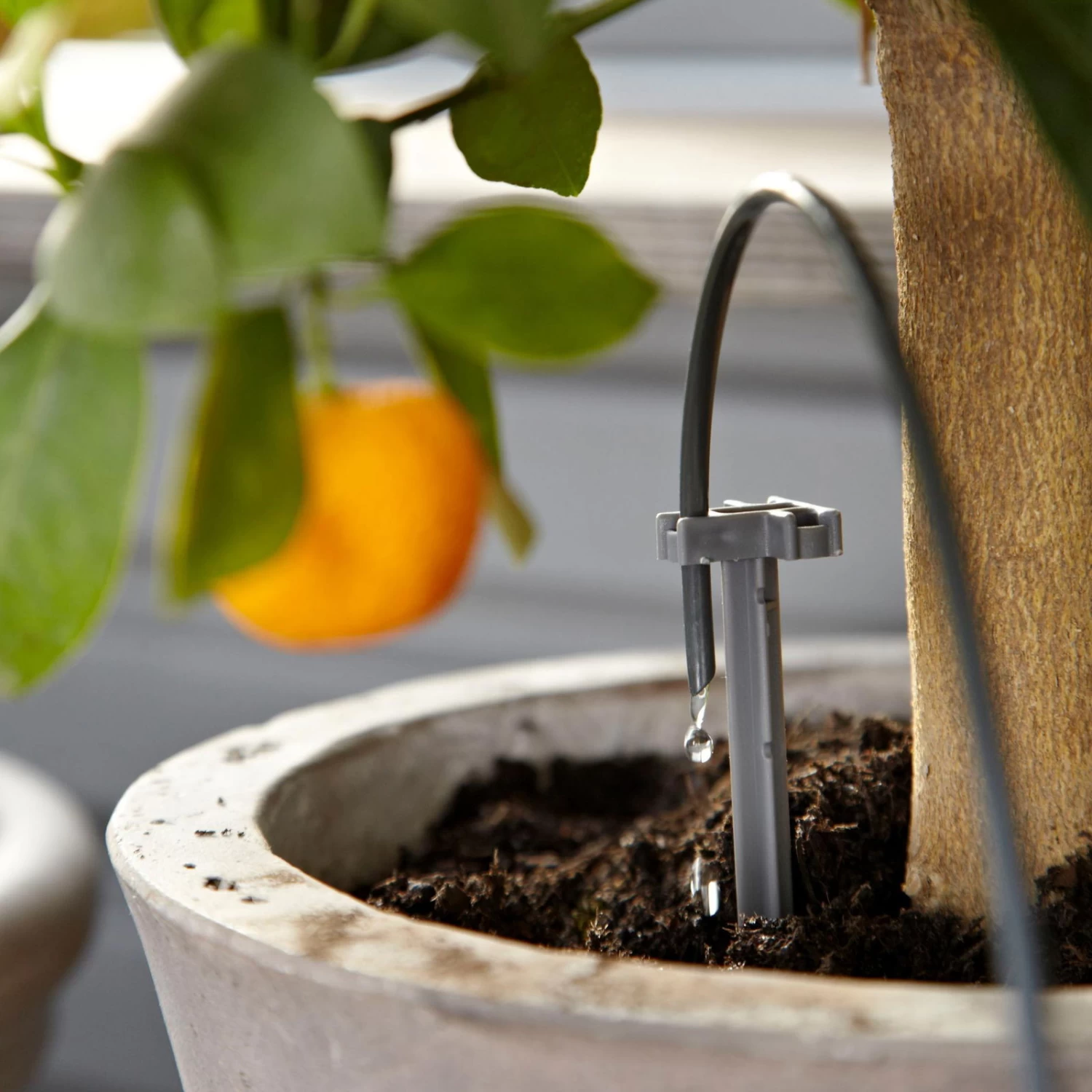 Gardena Urlaubsbewässerung City-Gardening, Bis Zu 36 Töpfe, Transformator, Zeitschaltuhr 5 Gardena Urlaubsbewässerung City-Gardening, Bis Zu 36 Töpfe, Transformator, Zeitschaltuhr – Bild 5