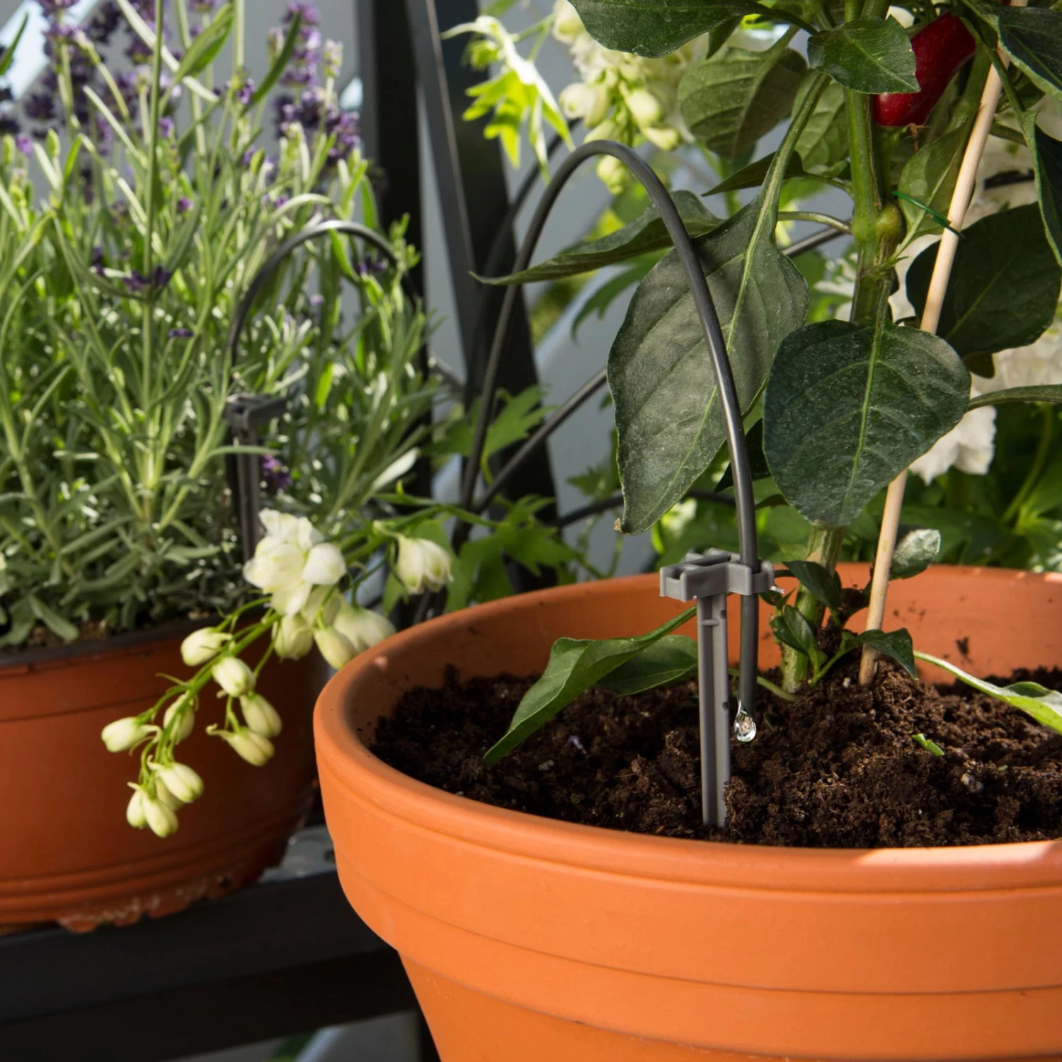 Gardena Urlaubsbewässerung City-Gardening, Bis Zu 36 Töpfe, Transformator, Zeitschaltuhr 7 Gardena Urlaubsbewässerung City-Gardening, Bis Zu 36 Töpfe, Transformator, Zeitschaltuhr – Bild 7