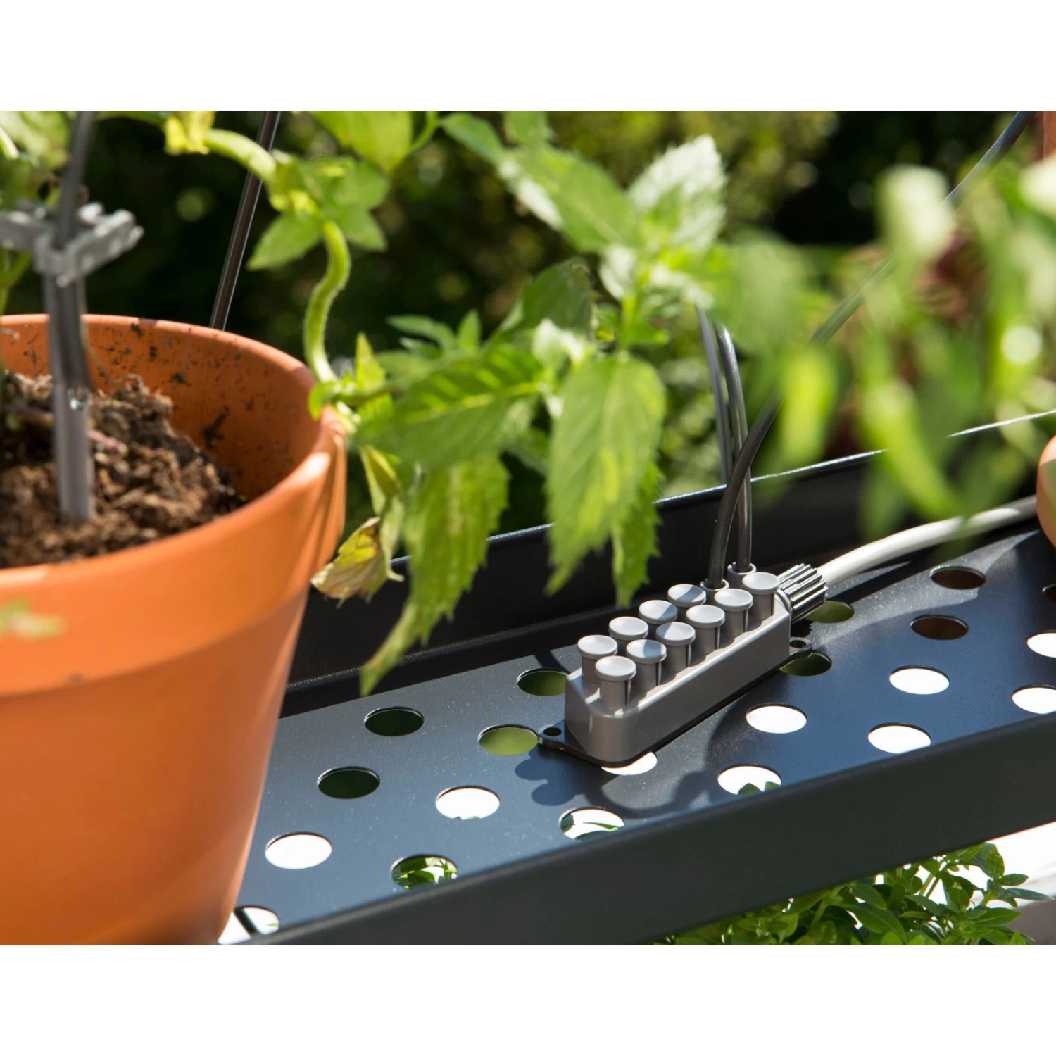 Gardena Urlaubsbewässerung City-Gardening, Bis Zu 36 Töpfe, Transformator, Zeitschaltuhr 8 Gardena Urlaubsbewässerung City-Gardening, Bis Zu 36 Töpfe, Transformator, Zeitschaltuhr – Bild 8