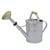 Zinkgießkanne Mit Holzgriff Und Messingbrause, Grau