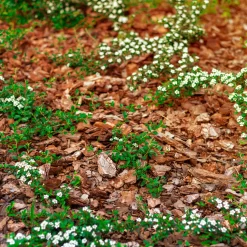 Stauden- & Rosenmulch, 2880l, 48 Sack à 60l -Gartenserien Geschäft 0960 rindenmulch 1 125175