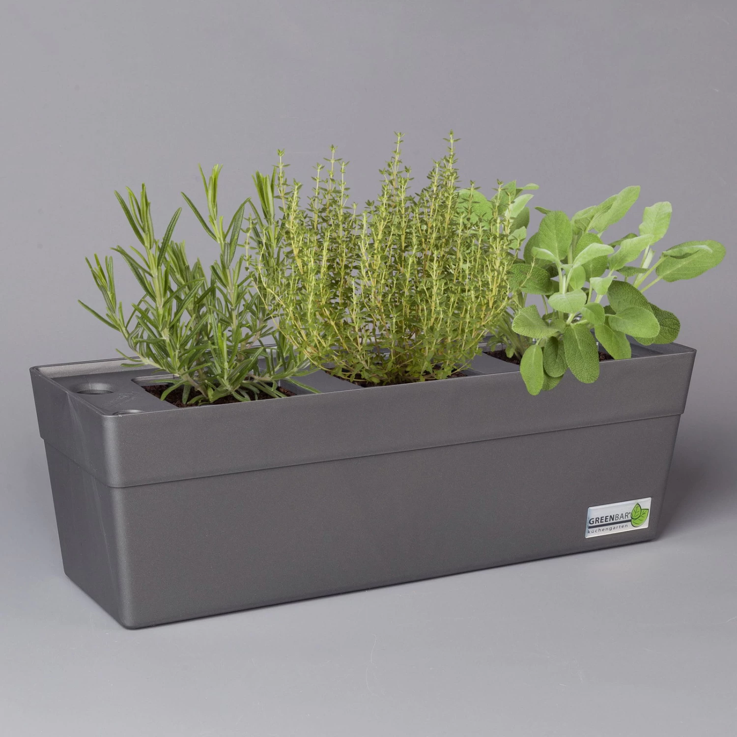 Grillkräuter Salbei, Rosmarin & Thymian, Topf 11x11 Cm, Inkl. Greenbar® 1 Grillkräuter Salbei, Rosmarin & Thymian, Topf 11x11 Cm, Inkl. Greenbar®