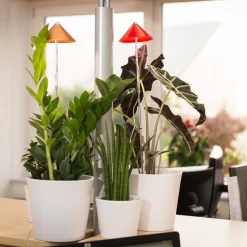 Sunlite Pflanzenlampe Kupfer, 7 Watt 9 Sunlite Pflanzenlampe Kupfer, 7 Watt -Gartenserien Geschäft 2950200231 Sunlite Pflanzenlampe Kupfer 7W 1 60399