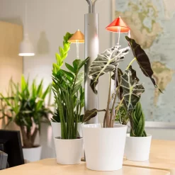 Sunlite Pflanzenlampe Kupfer, 7 Watt 8 Sunlite Pflanzenlampe Kupfer, 7 Watt -Gartenserien Geschäft 2950200231 Sunlite Pflanzenlampe Kupfer 7W 4 60396