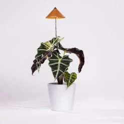 Sunlite Pflanzenlampe Kupfer, 7 Watt 6 Sunlite Pflanzenlampe Kupfer, 7 Watt -Gartenserien Geschäft 2950200231 Sunlite Pflanzenlampe Kupfer 7W 3 94099