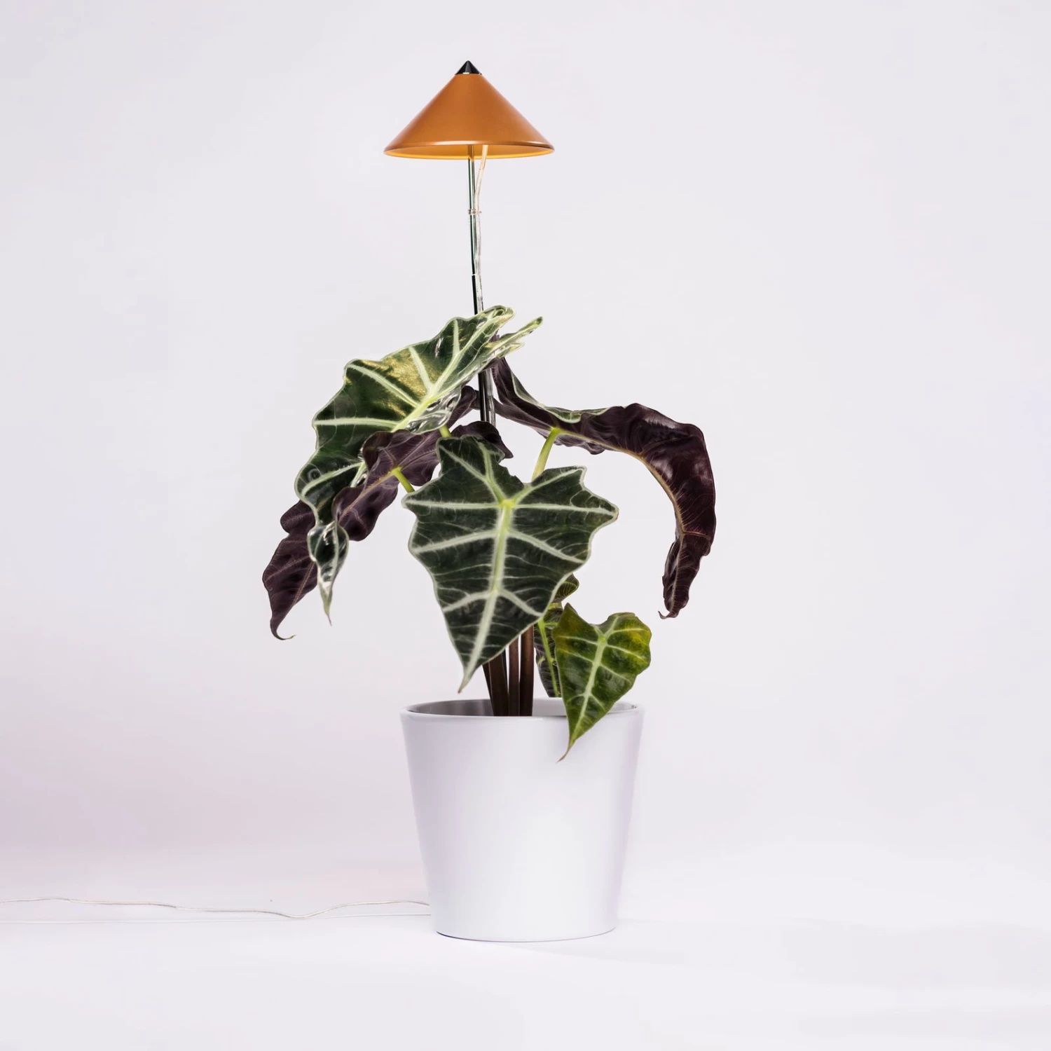 Sunlite Pflanzenlampe Kupfer, 7 Watt 2 Sunlite Pflanzenlampe Kupfer, 7 Watt – Bild 2