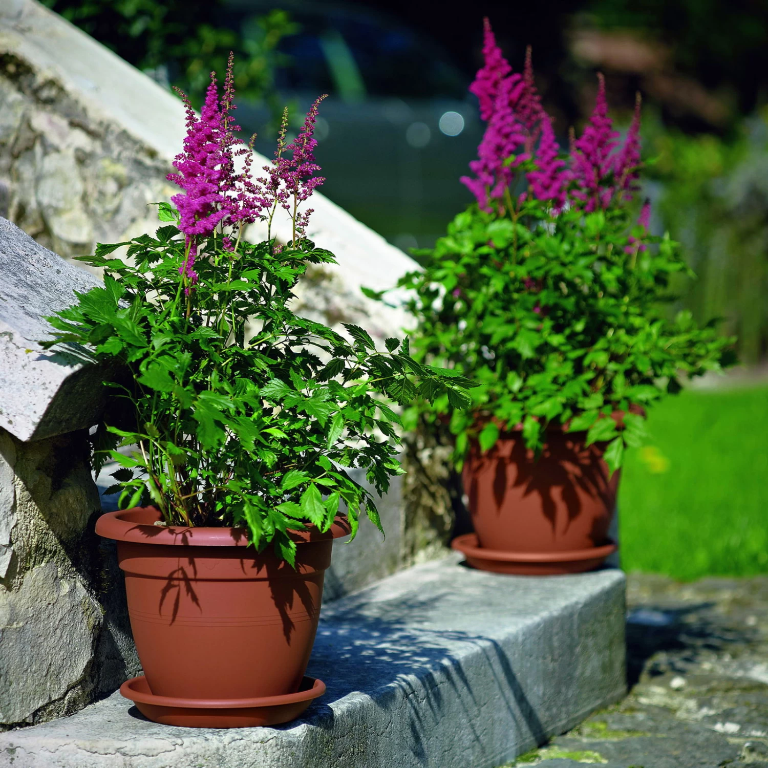 Euro 3 Plast Pflanzkübel Linteo Terra 1 Euro 3 Plast Pflanzkübel Linteo Terra