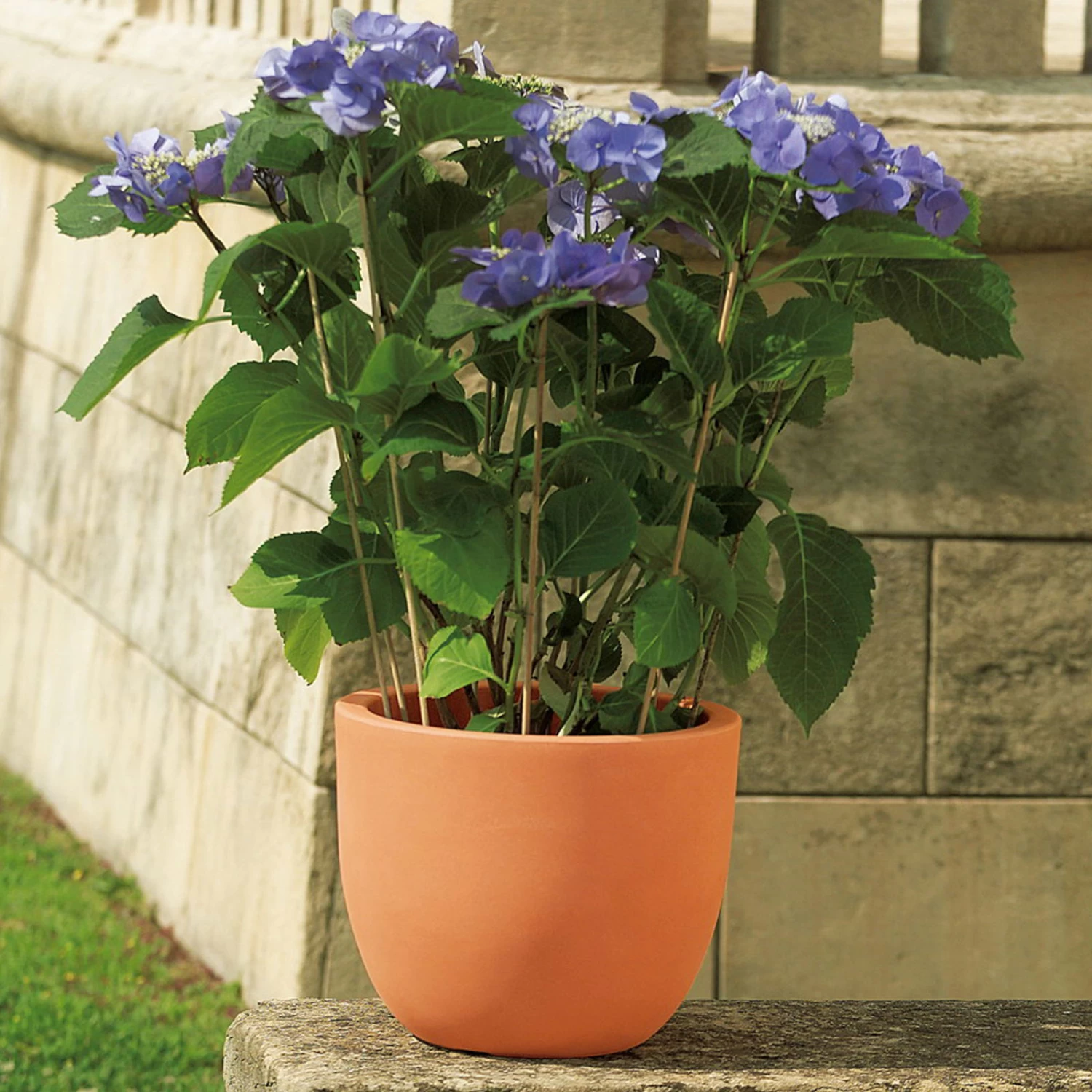 Pflanzkübel Etria Terra, Ø 24 X H 20 Cm 1 Pflanzkübel Etria Terra, Ø 24 X H 20 Cm