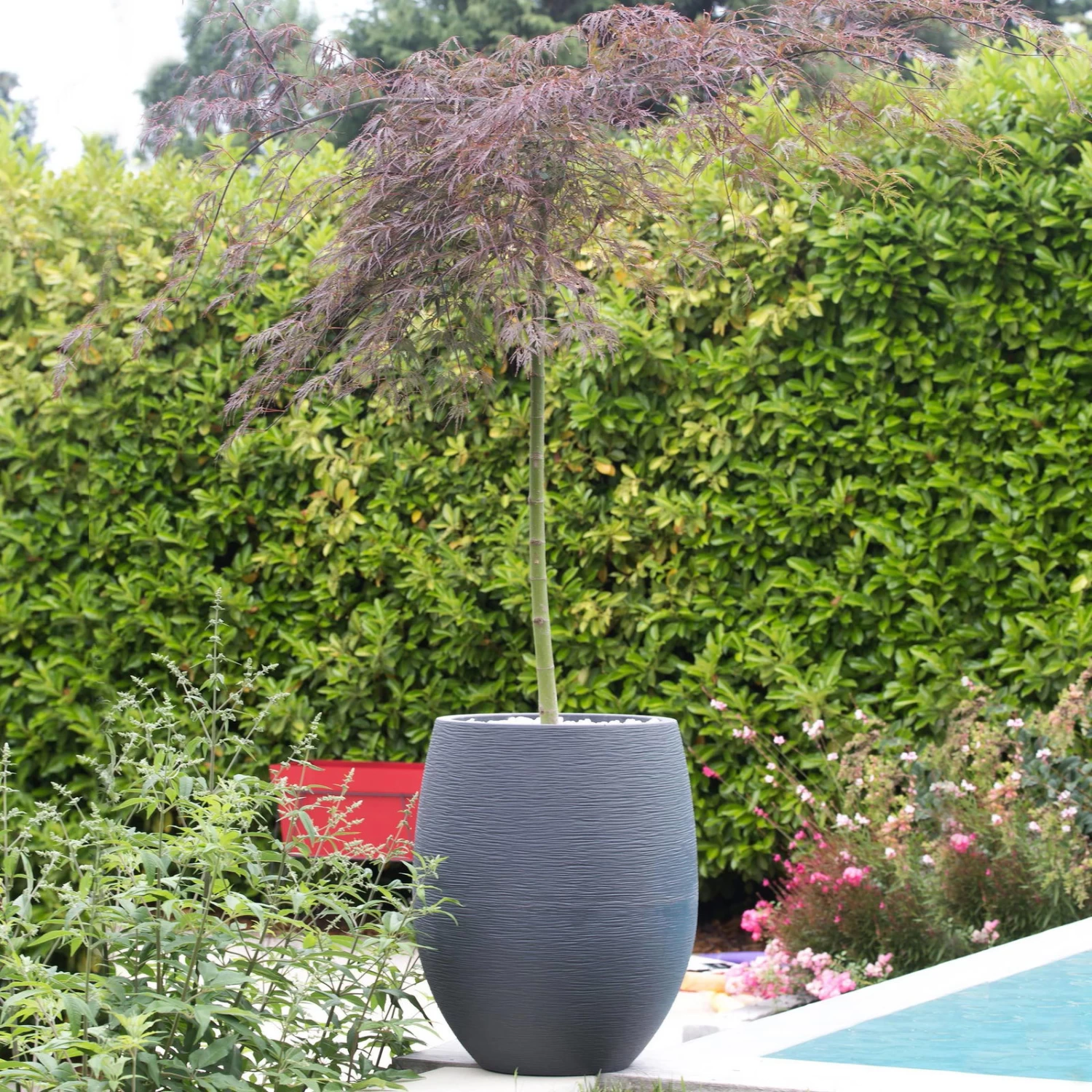 Pflanzgefäß Graphit Egg, Anthrazit, Wasserdicht, Robust 2 Pflanzgefäß Graphit Egg, Anthrazit, Wasserdicht, Robust – Bild 2