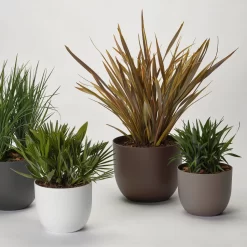 Pflanzkübel 'Rio', Taupe, Ø 34 X H 28 Cm -Gartenserien Geschäft 3210104130 3210104131 3210104132 3210104133 pflanzkuebel rio 122622