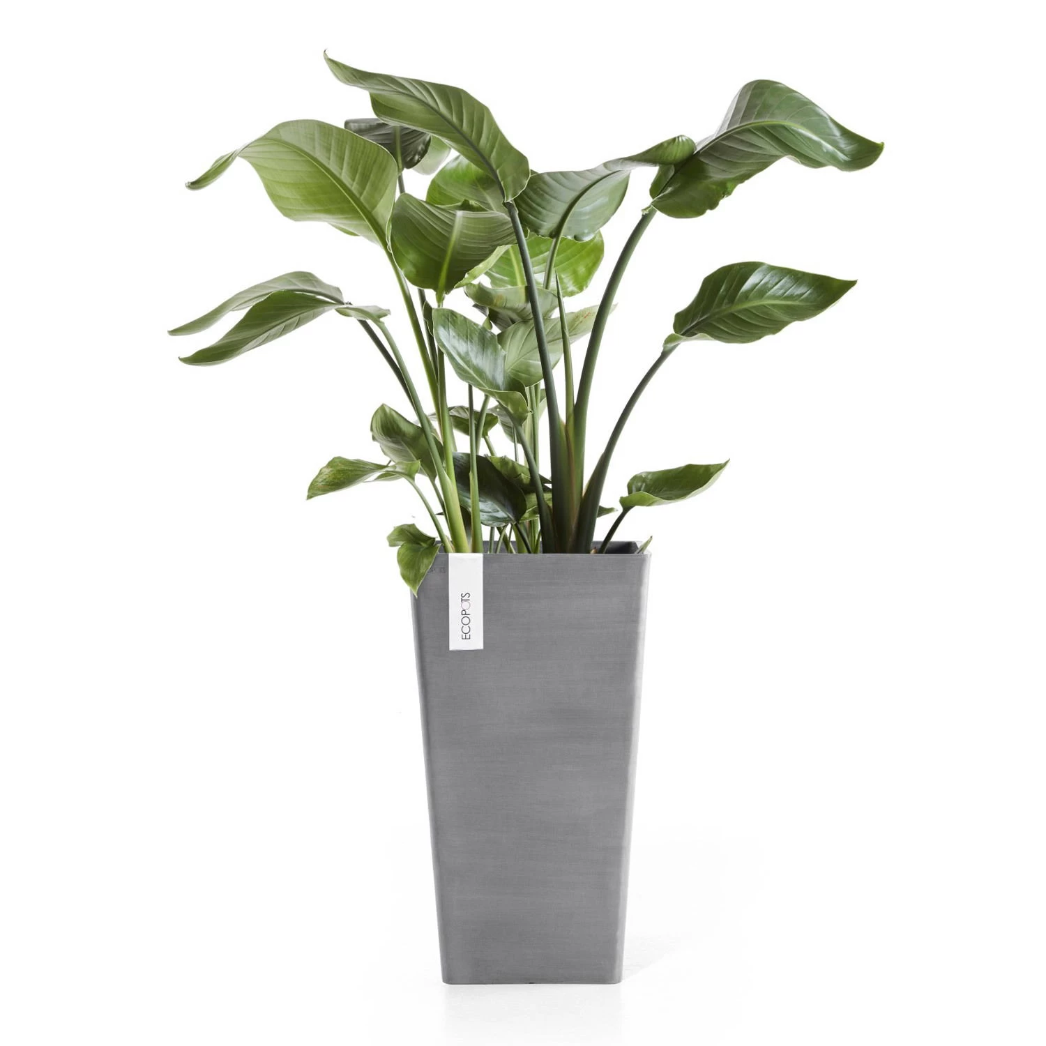 Pflanzgefäß 'Rotterdam MidHigh', Grau, Ø 31 X H 56 Cm 2 Pflanzgefäß 'Rotterdam MidHigh', Grau, Ø 31 X H 56 Cm – Bild 2