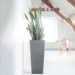 Pflanzgefäß 'Rotterdam MidHigh', Grau -Gartenserien Geschäft 3210104153 pflanzgefaess rotterdam high 1 117471