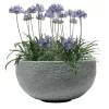 Pflanzschale Rock Line Banham, Granitgrau, Ø 35 X H 17 Cm