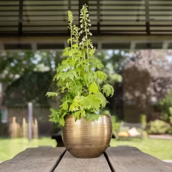 Pflanzgefäß 'Rowen', Gold, Ø 31 X H 28 Cm