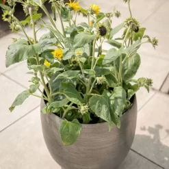 Pflanzgefäß 'Rowen', Silber, Ø 50 X H 47 Cm -Gartenserien Geschäft 3210801625 3210801626 3210801627 3210801628 Pflanzgefaess Rowen silber 6 115002