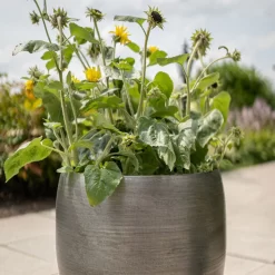 Pflanzgefäß 'Rowen', Silber, Ø 50 X H 47 Cm -Gartenserien Geschäft 3210801625 3210801626 3210801627 3210801628 Pflanzgefaess Rowen silber 7 115003