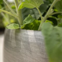 Pflanzgefäß 'Rowen', Silber, Ø 50 X H 47 Cm -Gartenserien Geschäft 3210801625 3210801626 3210801627 3210801628 Pflanzgefaess Rowen silber 9 115005