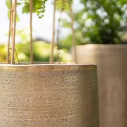 Pflanzgefäß 'Rowen', Gold, Ø 38 X H 62 Cm 13 Pflanzgefäß 'Rowen', Gold, Ø 38 X H 62 Cm -Gartenserien Geschäft 3210801630 3210801631 3210801632 3210801633 Pflanzgefaess Rowen gold 3 115016