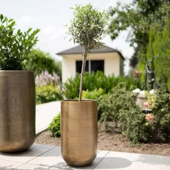 Pflanzgefäß 'Rowen', Gold, Ø 38 X H 62 Cm 12 Pflanzgefäß 'Rowen', Gold, Ø 38 X H 62 Cm -Gartenserien Geschäft 3210801630 3210801631 3210801632 3210801633 Pflanzgefaess Rowen gold 4 115017