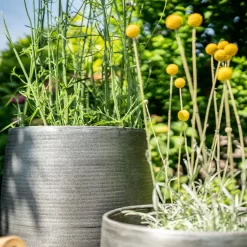 Pflanzgefäß 'Rowen', Silber, Ø 31 X H 55 Cm 14 Pflanzgefäß 'Rowen', Silber, Ø 31 X H 55 Cm -Gartenserien Geschäft 3210801635 3210801636 3210801637 3210801638 Pflanzgefaess Rowen silber 12 115029