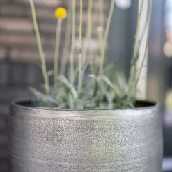 Pflanzgefäß 'Rowen', Silber, Ø 31 X H 55 Cm 17 Pflanzgefäß 'Rowen', Silber, Ø 31 X H 55 Cm -Gartenserien Geschäft 3210801635 3210801636 3210801637 3210801638 Pflanzgefaess Rowen silber 7 115026