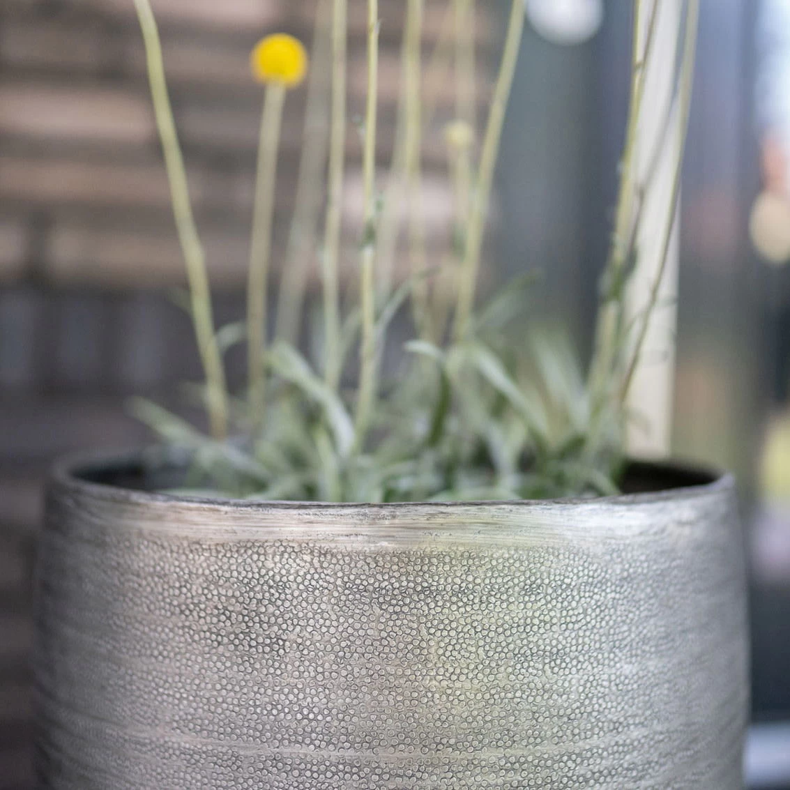 Pflanzgefäß 'Rowen', Silber, Ø 31 X H 55 Cm 7 Pflanzgefäß 'Rowen', Silber, Ø 31 X H 55 Cm – Bild 7