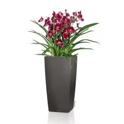 LECHUZA Cubico Premium, All-in-One-Set, Anthrazit-metallic, 22x22, H:41 Cm