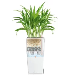 LECHUZA Cubico Premium 40, Weiß Hochglanz, All-in-One-Set, 40 X 40, H:75 Cm -Gartenserien Geschäft 3325100114 CubicoPremium22 weiss All in One Set 22x22x41cm RGB 7573