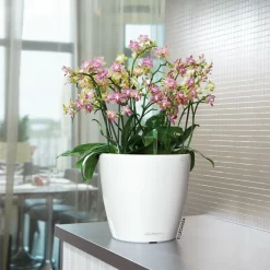 Lechuza Classico Premium 50 LS, Weiß Hochglanz, All-in-One-Set -Gartenserien Geschäft 3325100222 Classico Premium 28LS wei All in One Set D28xH26cm RGB 7759