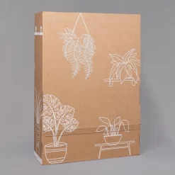 Aglaonema 'Stripes', Topf-Ø 12 Cm Mit Übertopf Dallas Weiß -Gartenserien Geschäft B2 02 Karton Sets mit Keramik 1 126161 2