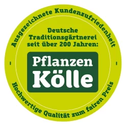 Feuerhand Sturmlaterne 'Baby Special 276', Rubinrot, 26,5 X 13,5 X 15 Cm -Gartenserien Geschäft qualitaetssiegel pflanzen koelle 3000x3000 70847 55